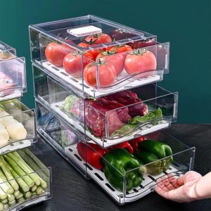 Diskary Fridge Organizer