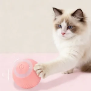 Automatic Rolling Cat Ball
