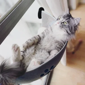Cat Window Hammock Bed
