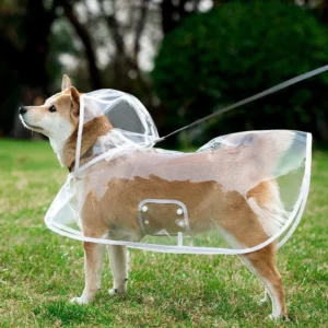 Transparent Dog Raincoat