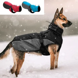 Big Dog Waterproof Coat