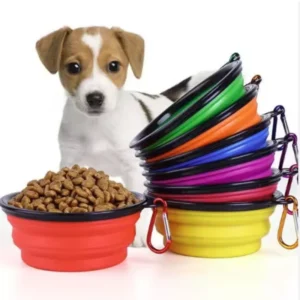 Collapsible Pet Travel Bowl